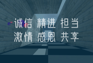 企業(yè)價值觀