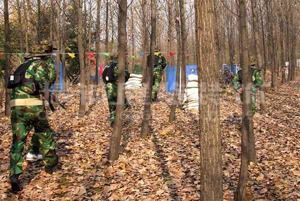 咸陽博物館設(shè)計(jì)