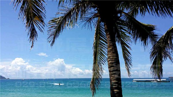 寶雞紀念館設計